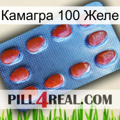 Камагра 100 Желе 06